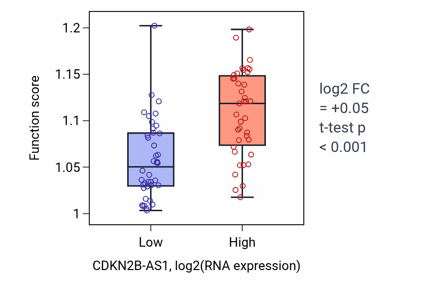 Box plot of Regulation of sister chromatid segregation in CDKN2B-AS1-low vs CDKN2B-AS1-high samples in ACC.
