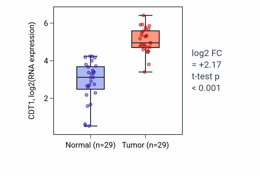 Tumor-vs-normal expression box plot for CDT1 in HNSC.