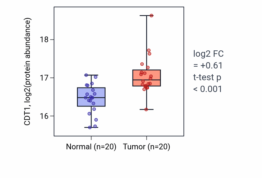 Tumor-vs-normal mass-spec protein box plot for CDT1 in LSCC.