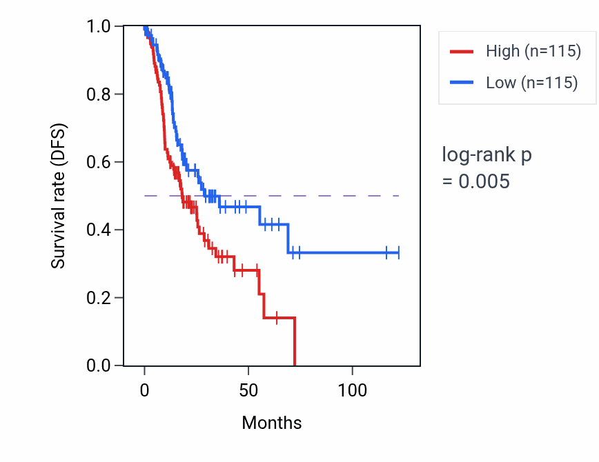 Kaplan&ndash;Meier survival curve for CDYL2 RNA expression in STAD: high vs low expression groups.