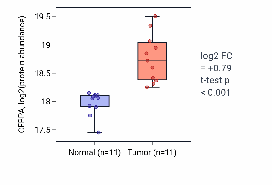 Tumor-vs-normal mass-spec protein box plot for CEBPA in CCRCC.