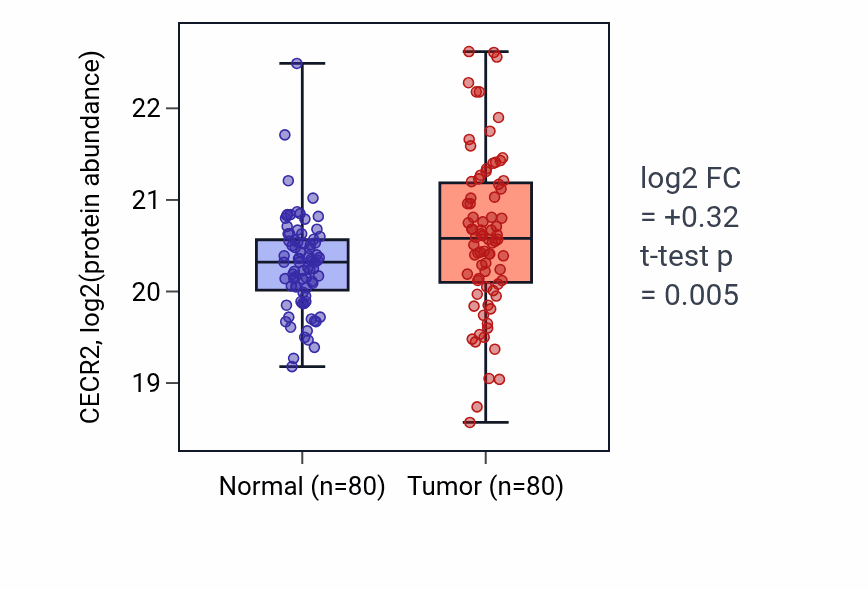 Tumor-vs-normal mass-spec protein box plot for CECR2 in LSCC.