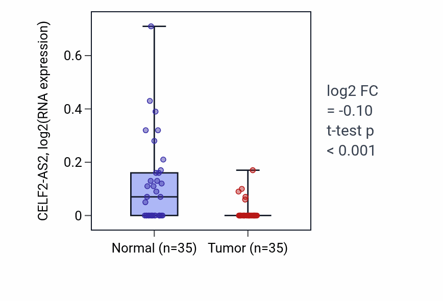 Tumor-vs-normal expression box plot for CELF2-AS2 in LUSC.