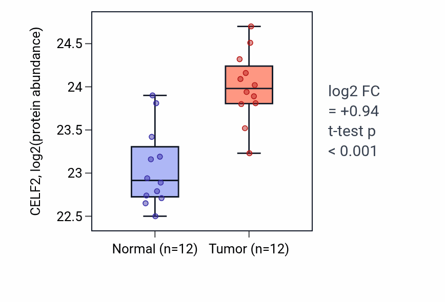 Tumor-vs-normal mass-spec protein box plot for CELF2 in CCRCC.