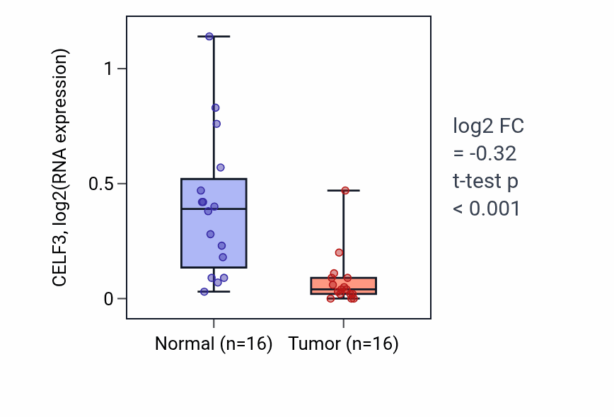 Tumor-vs-normal expression box plot for CELF3 in KIRP.