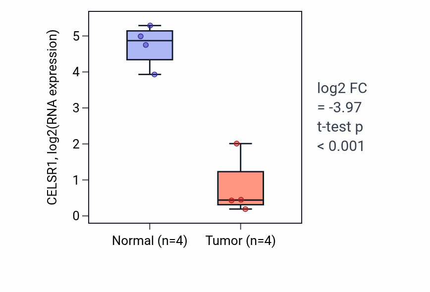 Tumor-vs-normal expression box plot for CELSR1 RNA in KICH.