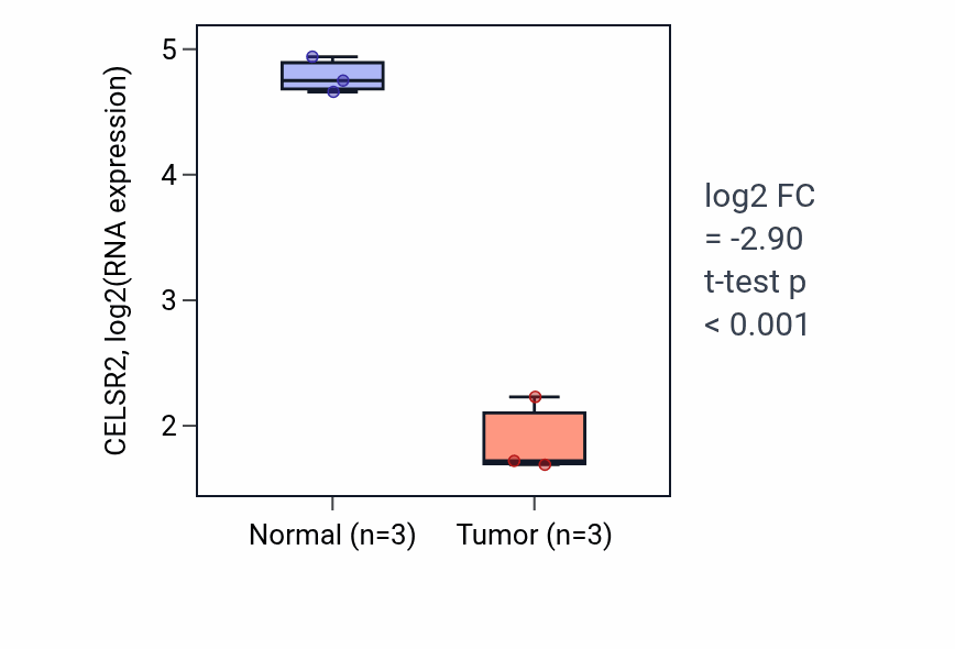 Tumor-vs-normal expression box plot for CELSR2 in KICH.