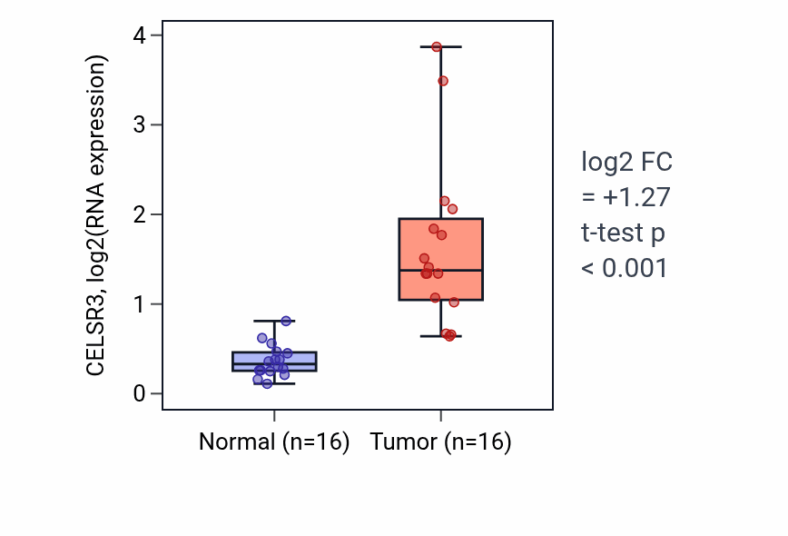 Tumor-vs-normal expression box plot for CELSR3 in HNSC.