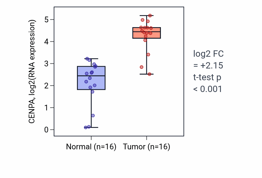 Tumor-vs-normal expression box plot for CENPA in HNSC.