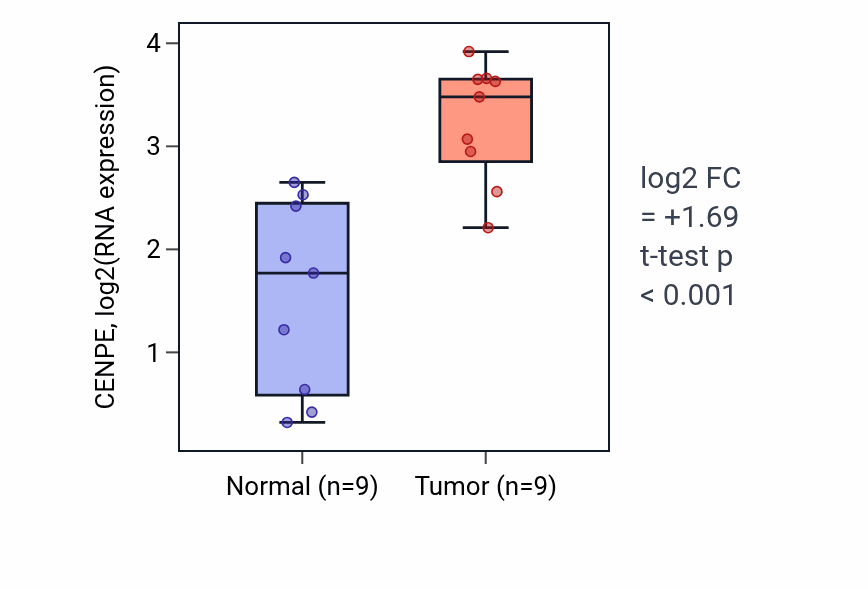 Tumor-vs-normal expression box plot for CENPE in HNSC.