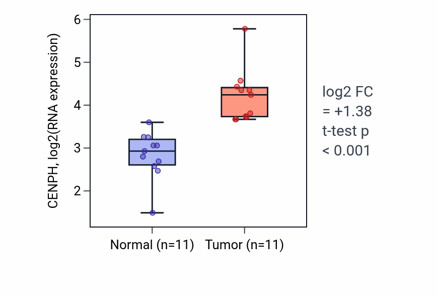 Tumor-vs-normal expression box plot for CENPH in HNSC.