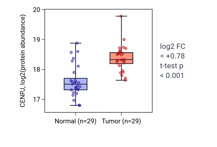 Tumor-vs-normal mass-spec protein box plot for CENPJ in LSCC.