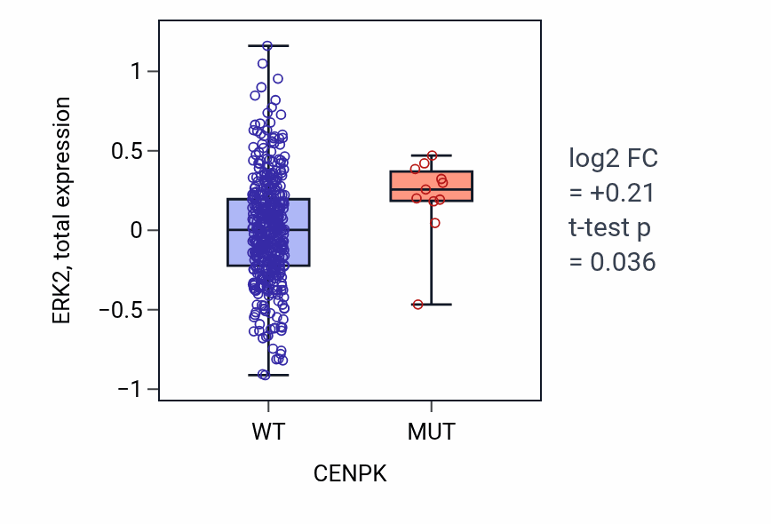 Box plot of ERK2 in CENPK-low vs CENPK-high samples in UCEC.