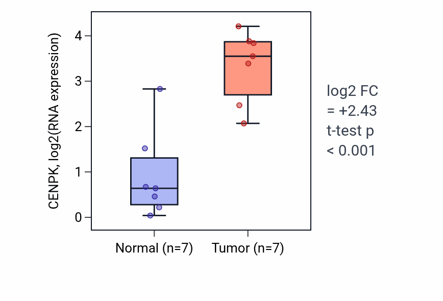 Tumor-vs-normal expression box plot for CENPK RNA in BLCA.