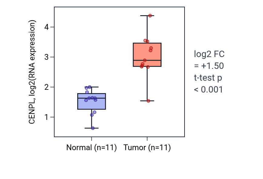 Tumor-vs-normal expression box plot for CENPL in HNSC.