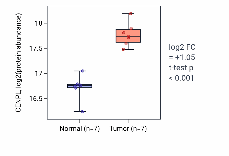 Tumor-vs-normal mass-spec protein box plot for CENPL in LUAD.