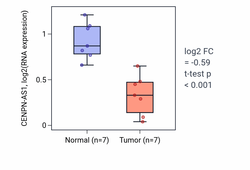 Tumor-vs-normal expression box plot for CENPN-AS1 in THCA.
