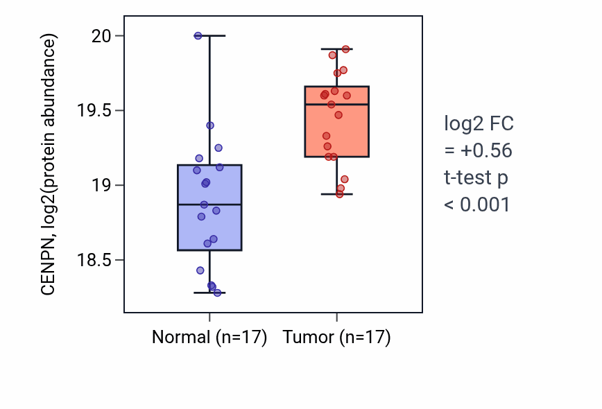 Tumor-vs-normal mass-spec protein box plot for CENPN in LSCC.