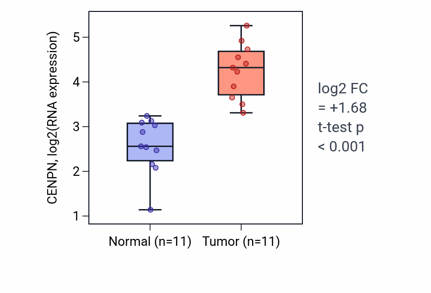 Tumor-vs-normal expression box plot for CENPN RNA in HNSC.