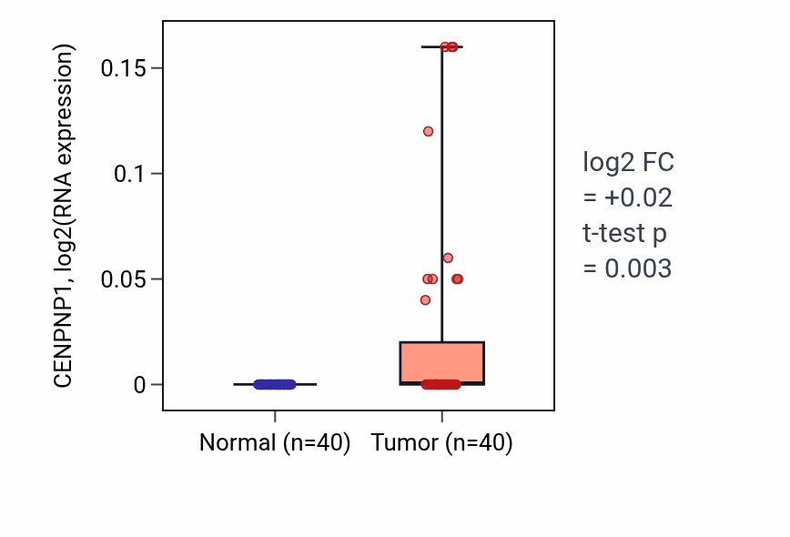 Tumor-vs-normal expression box plot for CENPNP1 RNA in HNSC.