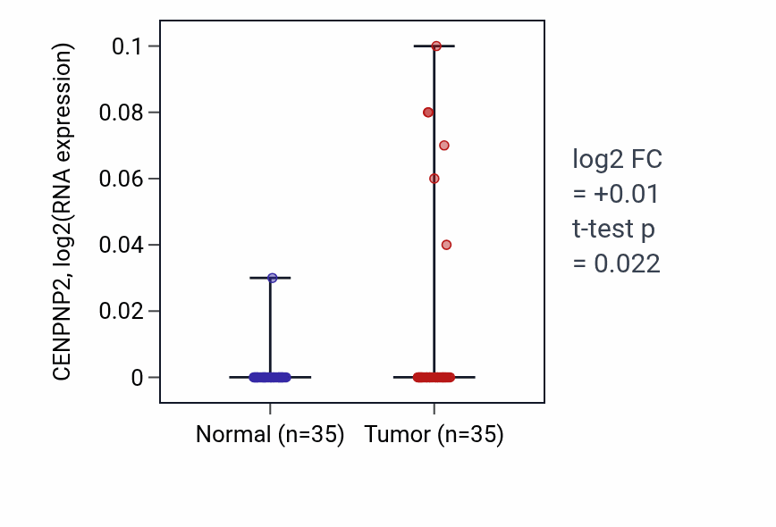 Tumor-vs-normal expression box plot for CENPNP2 in LUSC.