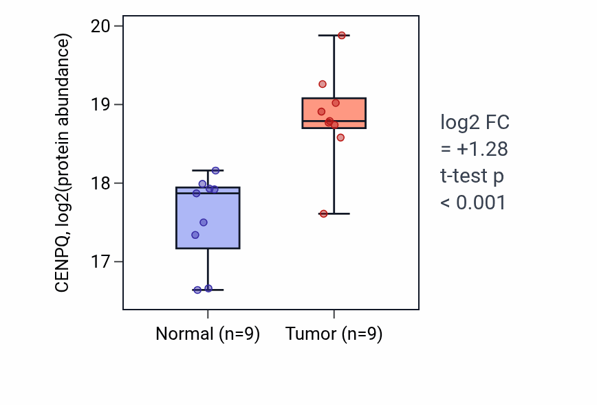 Tumor-vs-normal mass-spec protein box plot for CENPQ in LSCC.