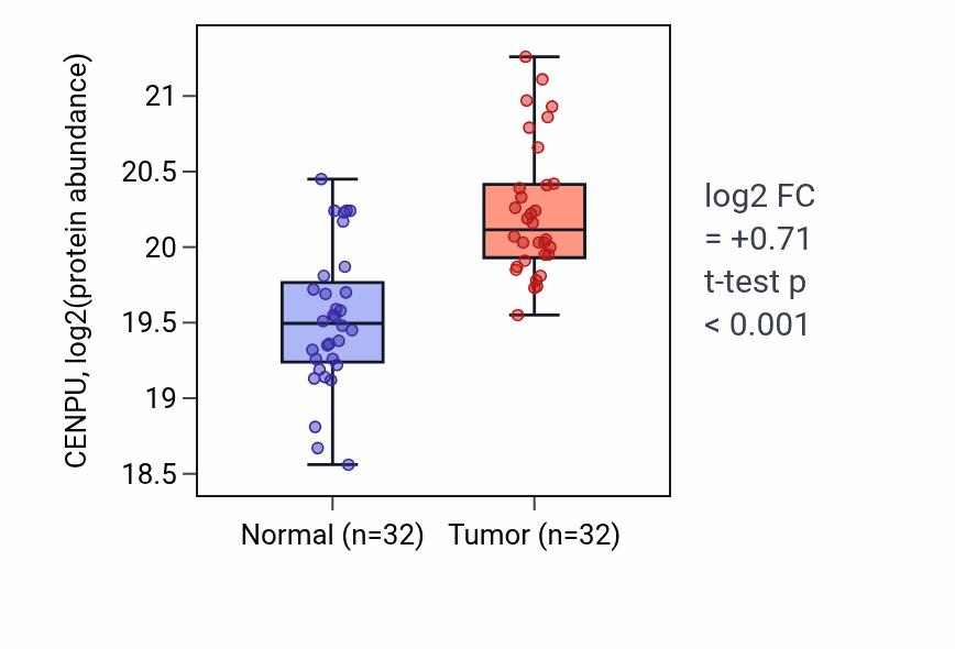 Tumor-vs-normal mass-spec protein box plot for CENPU in LSCC.