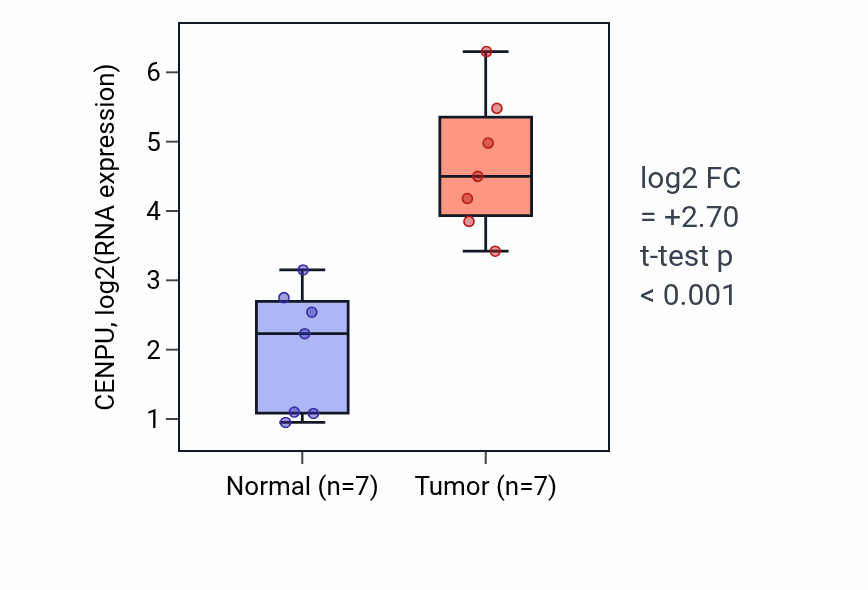 Tumor-vs-normal expression box plot for CENPU RNA in BLCA.