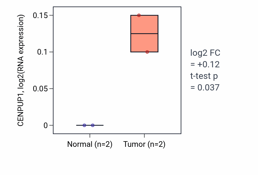 Tumor-vs-normal expression box plot for CENPUP1 RNA in UCEC.