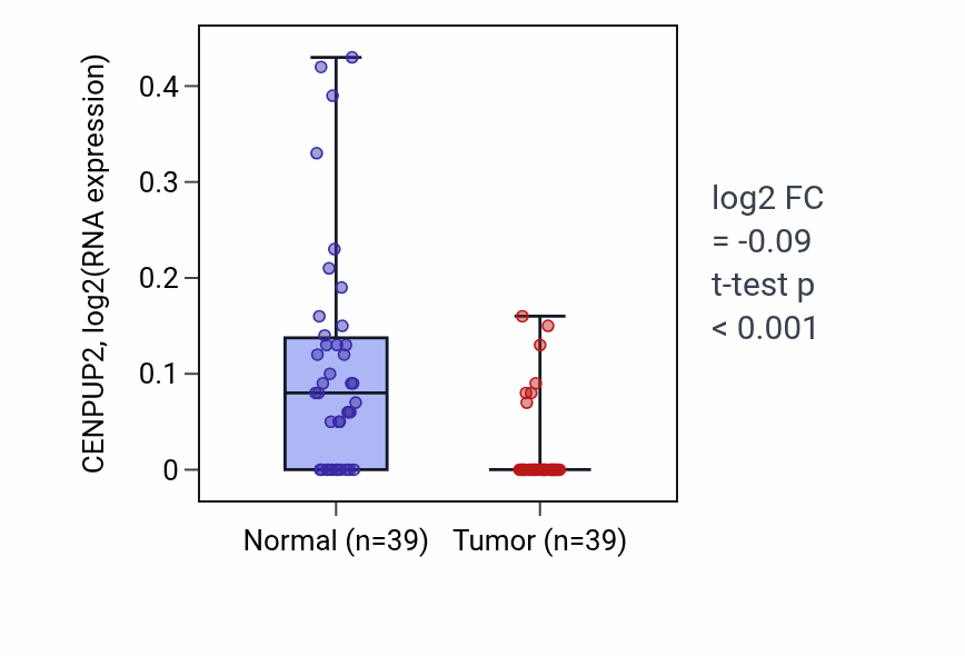 Tumor-vs-normal expression box plot for CENPUP2 in COAD.