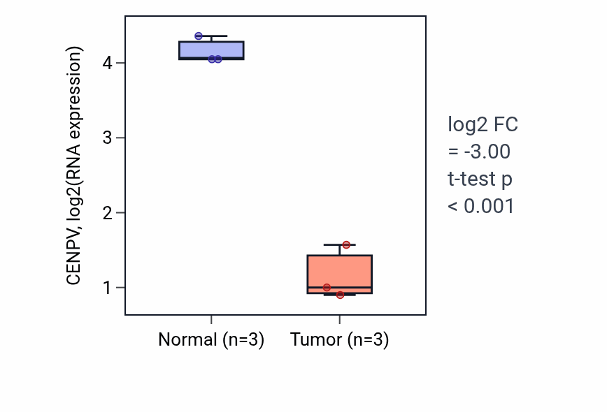 Tumor-vs-normal expression box plot for CENPV in KICH.