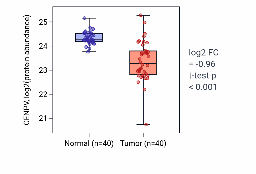 Tumor-vs-normal mass-spec protein box plot for CENPV in CCRCC.