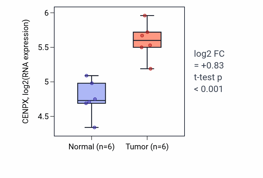 Tumor-vs-normal expression box plot for CENPX in KIRC.