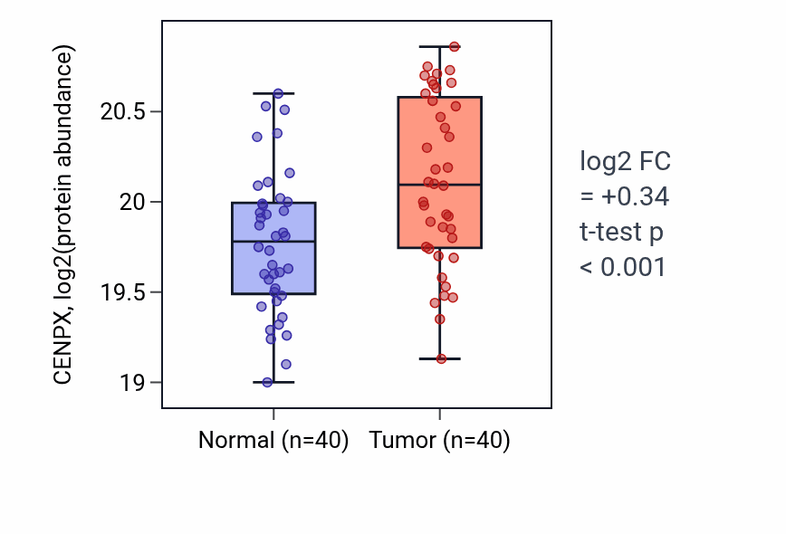 Tumor-vs-normal mass-spec protein box plot for CENPX in HNSC.