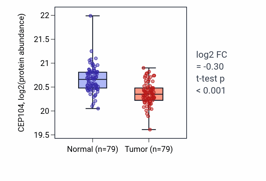 Tumor-vs-normal mass-spec protein box plot for CEP104 in LSCC.
