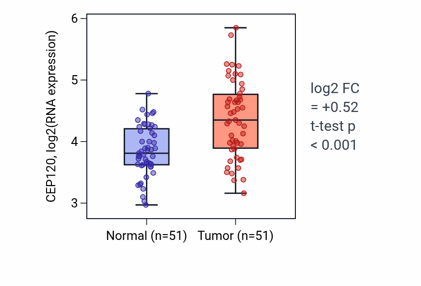 Tumor-vs-normal expression box plot for CEP120 in KIRC.
