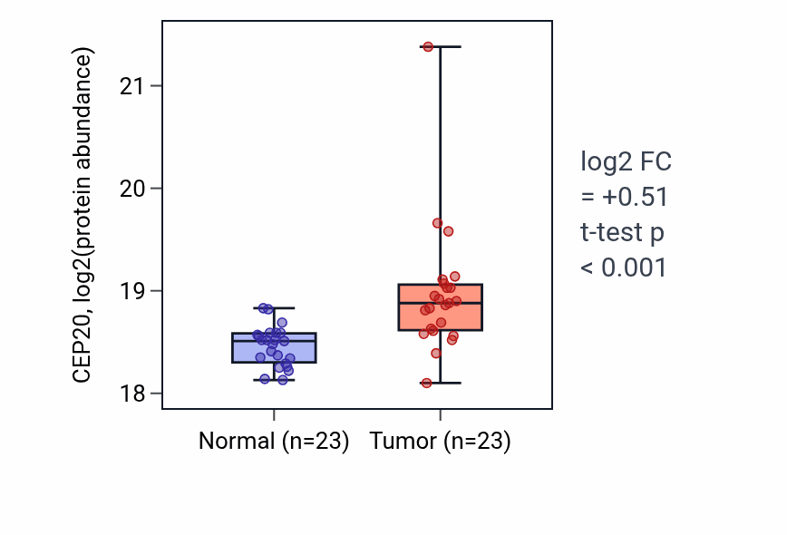 Tumor-vs-normal mass-spec protein box plot for CEP20 in CCRCC.