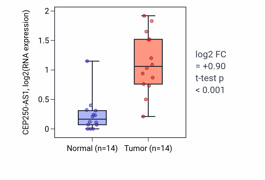 Tumor-vs-normal expression box plot for CEP250-AS1 in KIRC.