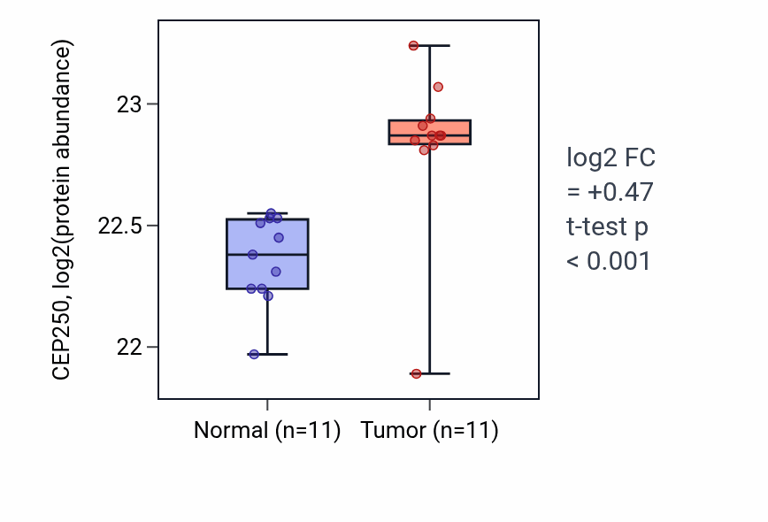 Tumor-vs-normal mass-spec protein box plot for CEP250 in CCRCC.