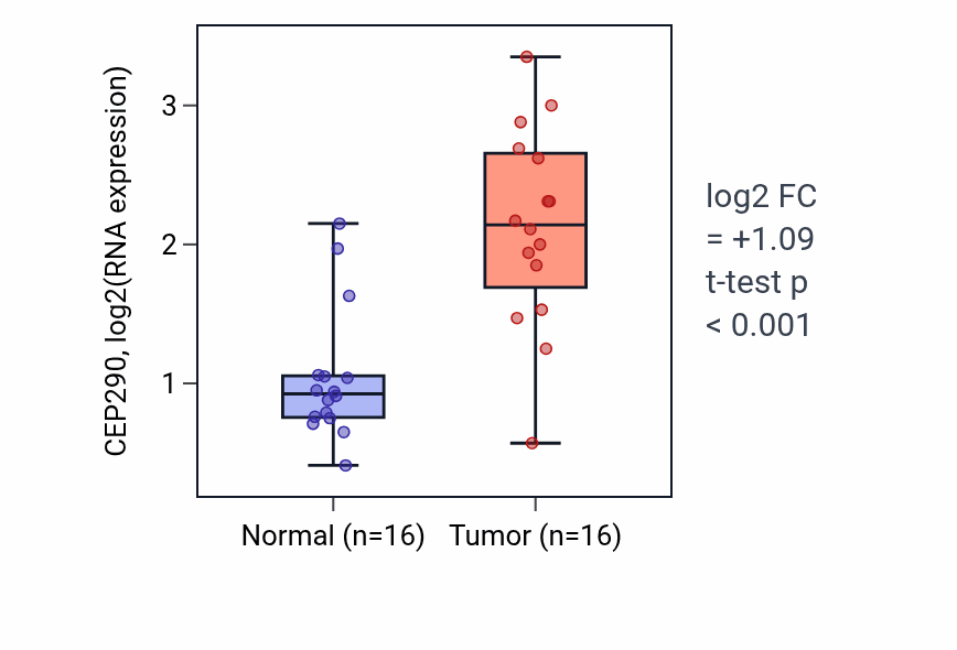 Tumor-vs-normal expression box plot for CEP290 in HNSC.