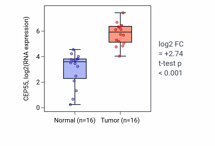 Tumor-vs-normal expression box plot for CEP55 in HNSC.