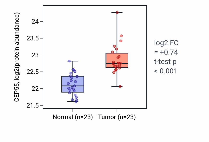 Tumor-vs-normal mass-spec protein box plot for CEP55 in HNSC.
