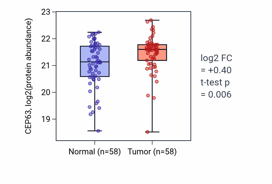 Tumor-vs-normal mass-spec protein box plot for CEP63 in HNSC.
