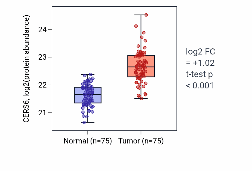 Tumor-vs-normal mass-spec protein box plot for CERS6 in LSCC.