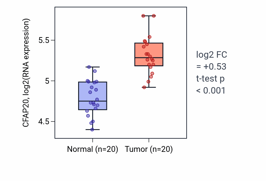 Tumor-vs-normal expression box plot for CFAP20 in KIRC.