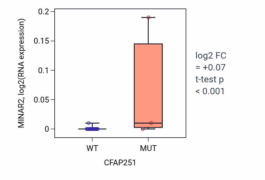 Box plot of MINAR2 in CFAP251-low vs CFAP251-high samples in UPPER_AERODIGESTIVE_TRACT.