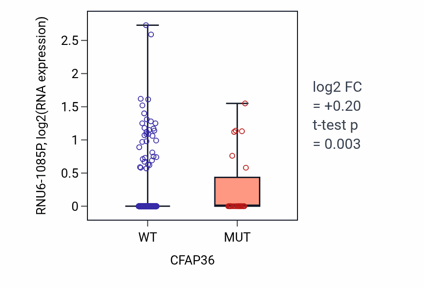 Box plot of RNU6-1085P in CFAP36-low vs CFAP36-high samples in UCEC.
