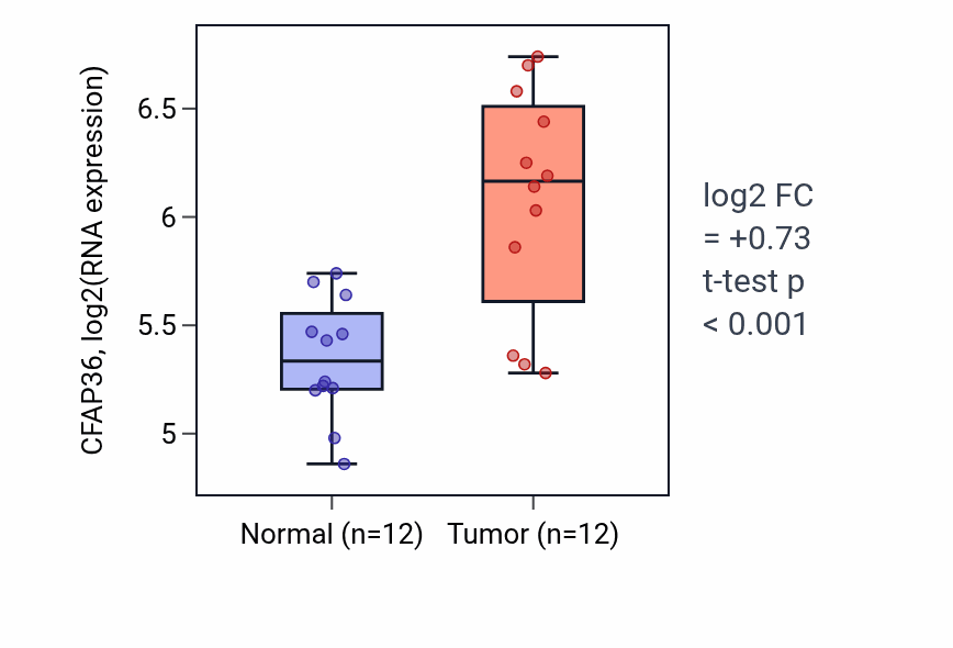 Tumor-vs-normal expression box plot for CFAP36 in KIRC.