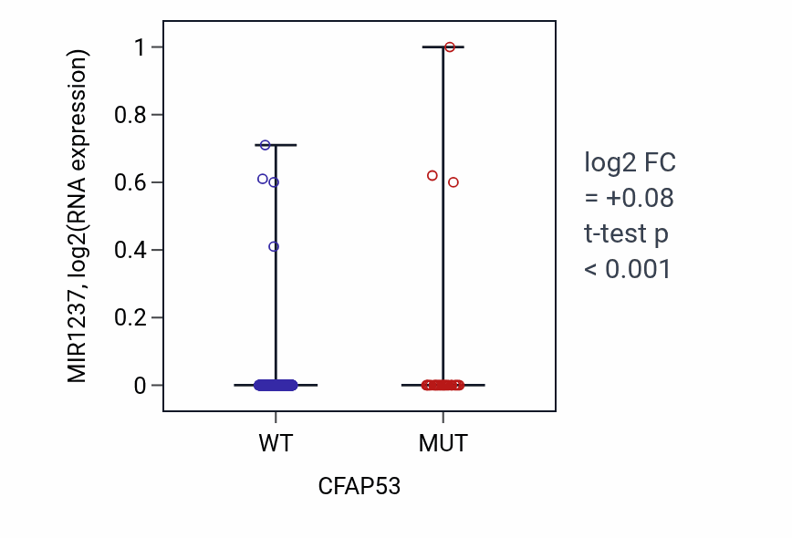 Box plot of MIR1237 in CFAP53-low vs CFAP53-high samples in SKCM.