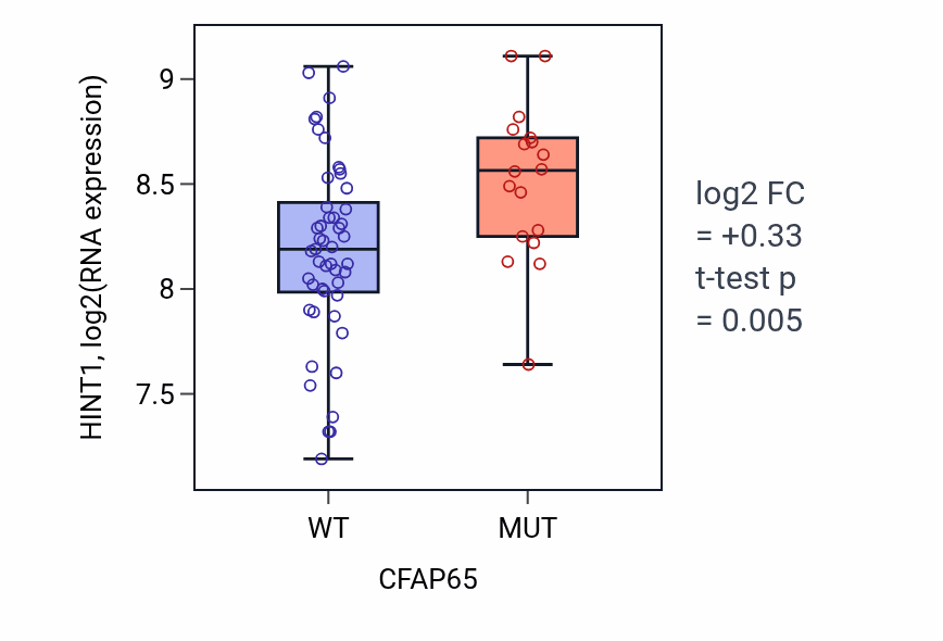 Box plot of HINT1 in CFAP65-low vs CFAP65-high samples in LARGE_INTESTINE.